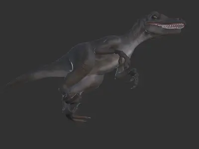 Velocitaptor  Low-poly 3D model