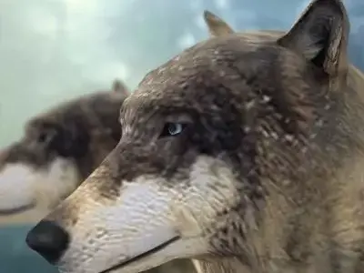 Textured Low Poly Wolf 3D model