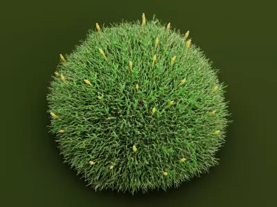 Moss V2 Low-poly 3D model