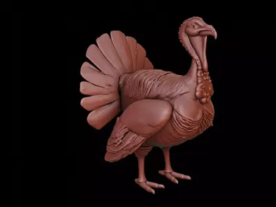 Turkey Animal Sculpture 3D print model