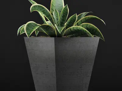 Plants Collection 60 3D model