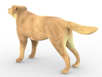 Animal - Dog 3D model
