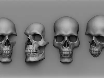Skulls - Wall Decoration 3D print model