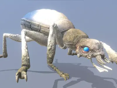 Gray Beetle Bug Walk Fbx Png 3D model