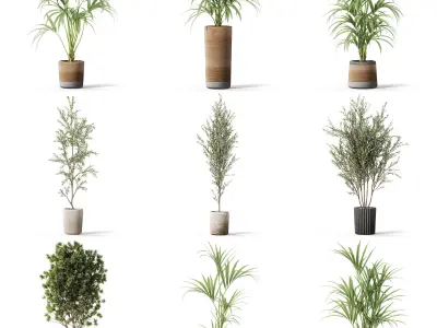 Plants collection vol 42