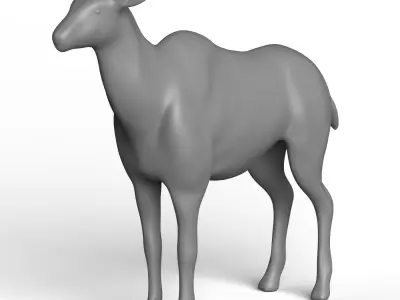 Kudu Base Mesh Low-poly 3D model