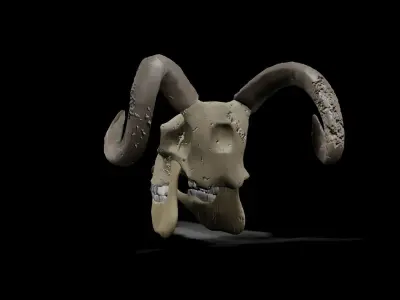Goat low poly game ready skull Low-poly 3D model