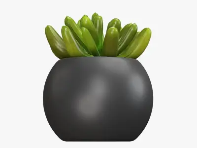 Potted plant decorative 01 3D model