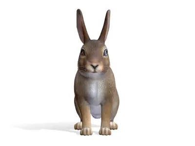 Rabbit Low-poly 3D model