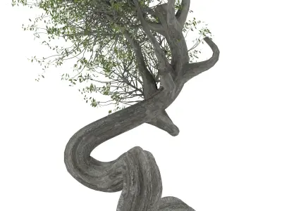 BONSAI tree 3D model