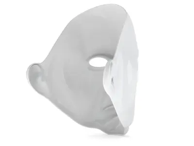 Generic Mask 3D Printing Enable 3D model