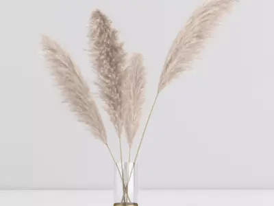 pampas in vase 01 3D model