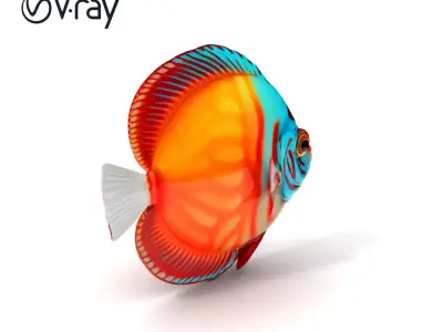 Vibrant Tropical Fish Model Pack for Aquatic Scenes Low-poly 3D model