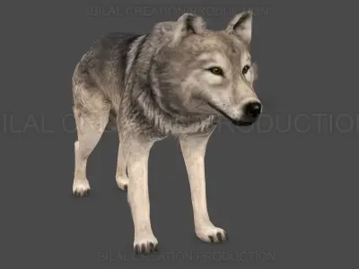 WOLF RIGGED ANIMATED 6 Low-poly 3D model