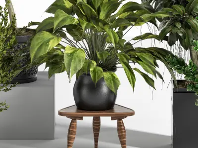 Indoor Plant Set 09 3D model