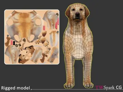 Low poly Labrador Dog Model Rigged Low-poly 3D model