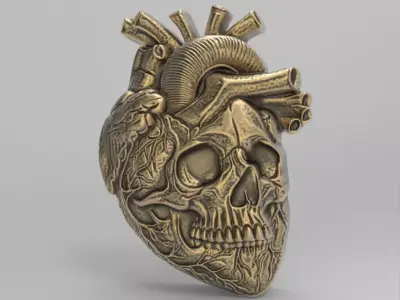  Anatomical Heart Skull 3D Model for CNC Carving and 3D Printing 3D print model