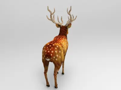 Game Ready Deer Rigged Low-poly 3D model