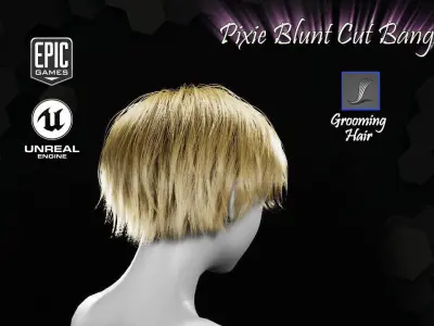 Pixie Blunt Cut Bangs Groom RealTime Hairstyle Unreal Engine 4 Low-poly 3D model