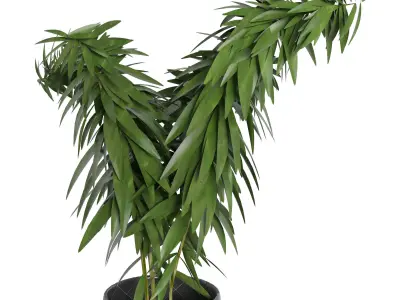 Decorative set 13 3D model order