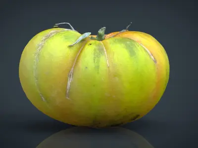 TOMATO 1 Low-poly 3D model