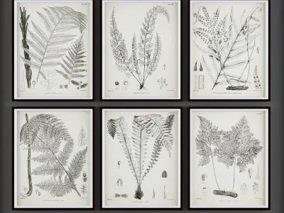 Collection of Picture Frames - 20 sets