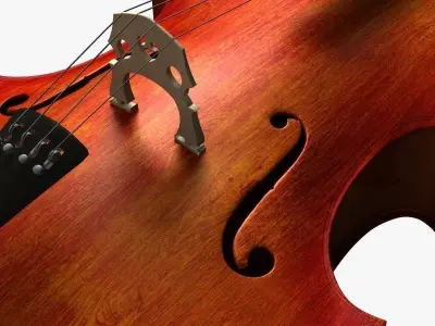 Realistic Cello 3D model