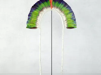 Juruna Tribe Feather Headdress 3D model