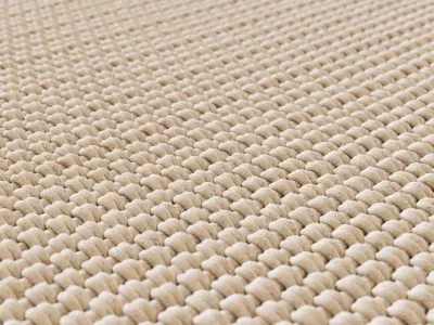 Thickly woven carpet 3D model