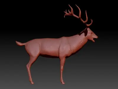 High poly model of deer 3D model