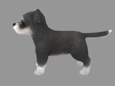 Cartoon pet puppy - Schnauzer - baby dog Low-poly 3D model