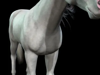 Thoroughbred Arabian Horse WILD WORLD PONY 4 ALBINO Low-poly 3D model