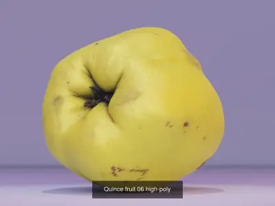 Collection of quince fruits high-poly 3D model