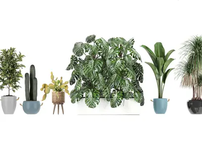 Collection of potted plants for the interior of 20 pieces set 2 3D model