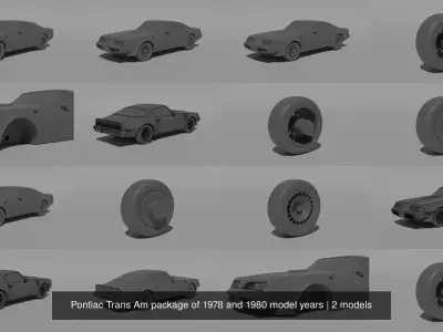Pontiac Trans Am package of 1978 and 1980 model years