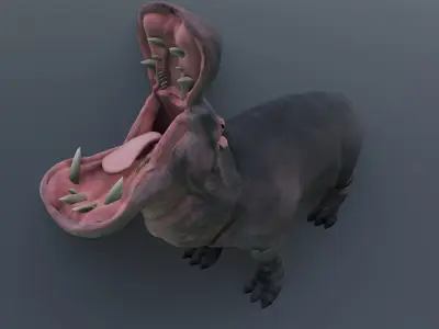 Animated hippopotamus 3D Model Low-poly 3D model