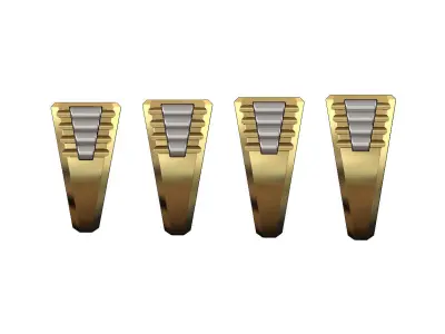 Rectangular presidential link inserts signet US sizes 7to10 3D print model