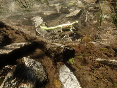 Lizard in water 3D model