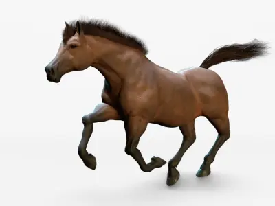 Horse Animated Low-poly 3D model