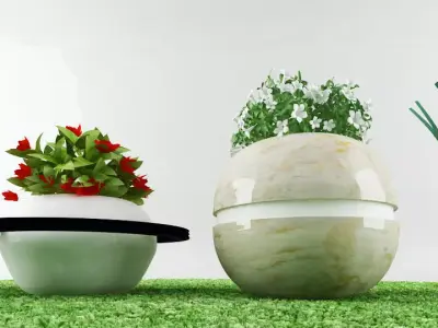 garden plants Free low-poly 3D model