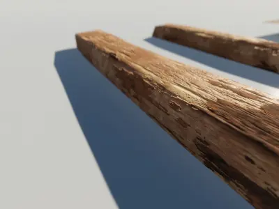 Oak Wood and Bark Texture