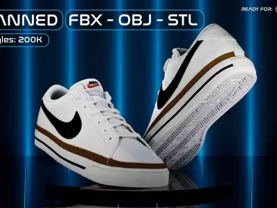 3D Scanned and Optimised Shoe - 1 3D model
