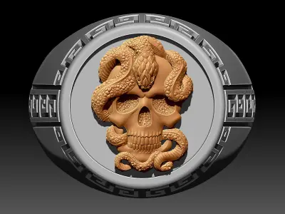 Skull and snake man ring Sculpture jewelry Gold silver  3D print model
