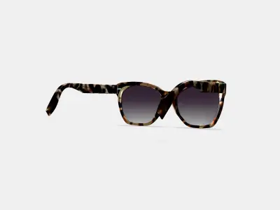 Rhea Sunglasses in Truffle Tortoise 3D model
