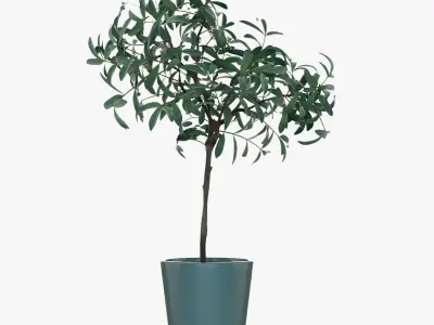 Pot Plant 24 3D models 3D model