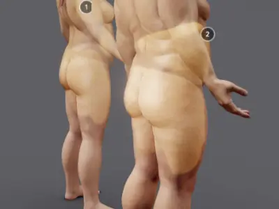 Male Vs Female Fat Distribution Low-poly 3D model