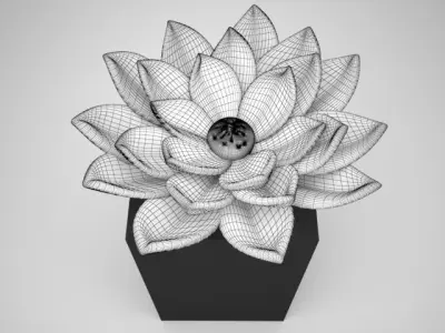lotus flower Free 3D model