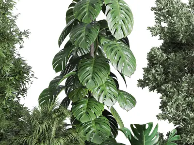 indoor plant set 312 longhi godwin pot bamboo monstera Low-poly 3D model