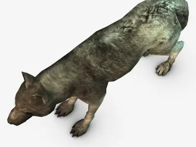 Wolf Low-poly 3D model