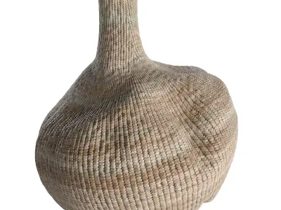 Bulawayo Garlic Gourd Uniqwa 3D model